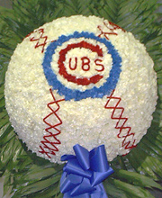 Cubs Baseball Tribute