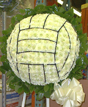 Volleyball of Flowers